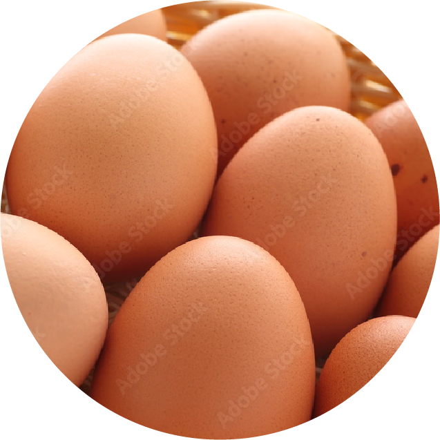 卵は洗わないイメージ画像