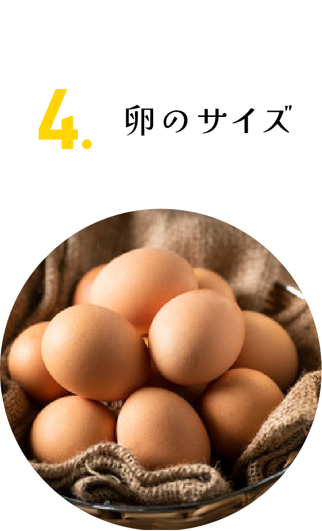 卵のサイズ画像